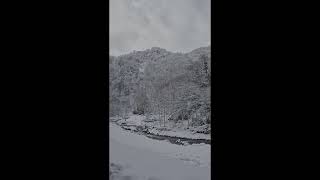 Özlem Taşçı - Taşacak Bu Deniz