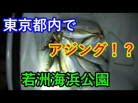東京都内でアジング 若洲海浜公園 Youtube