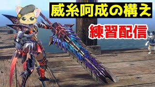 【MHR:SB】闘技場でSクリ埋めます