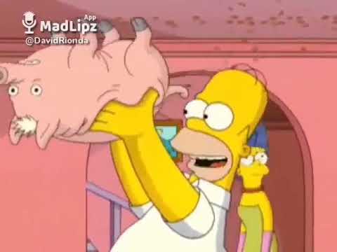 Homer Simpson y el Spidergochu