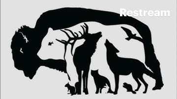 Riddles #live #puzzlelover #puzzle #puzzlegame #riddles#puzzles #riddlechallenge #puzzletime