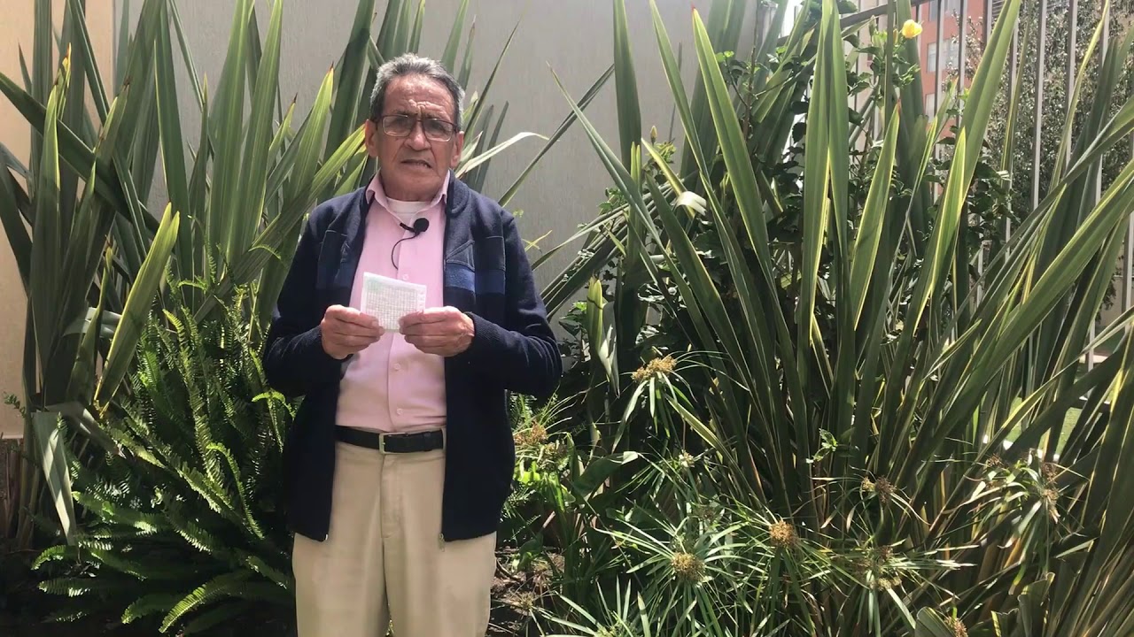 Programa # 15 Fertilizantes químicos Vs. Abonos Orgánicos