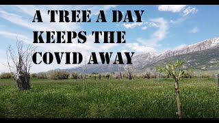 Reforesting the Ranch (The Windbreak Part2)