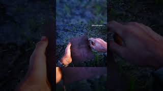 The Secret Obelisk Starting the Landmarks of Riches Treasure Hunt  RDR2