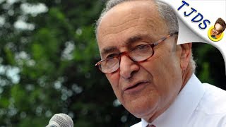 Chuck Schumer Caves To Trump Supporting Dems Over Supreme Court