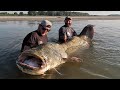 PESCE SILURO GIGANTE IN PESCA NOTTURNA CON LA PIETRA by Yuri Grisendi