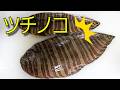 【きまぐれクック絶賛】ツチノコみたいな謎の魚食べてみた