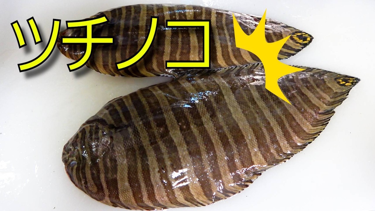 Highly Acclaimed by Kimagure Cook] I Tried Eating a Mysterious