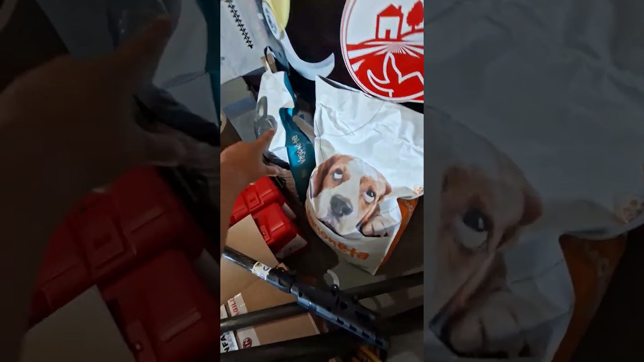 7 de febrero de 2026