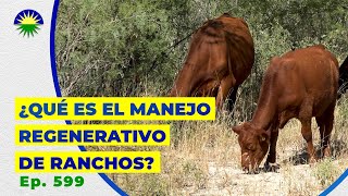 599. ¿Qué es el Manejo Regenerativo de Ranchos?