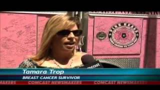 Pink Heals Tour