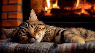 Fall asleep to the Purring of a Cat & Fireplace 🔥 The Perfect Way to De-Stress