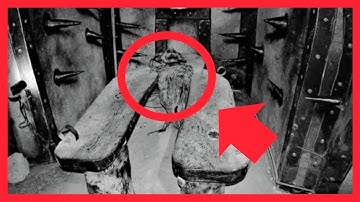 The Most Brutal Torture Place: The Dungeon Prison