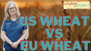 3 Reasons US Wheat 🇺🇸 Is WORSE For You Than EU Wheat 🇪🇺🌾