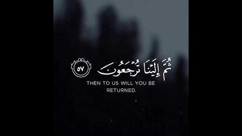 سورة العنكبوت-الآية 57,56