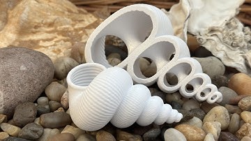 Plain Seashell for Remixing