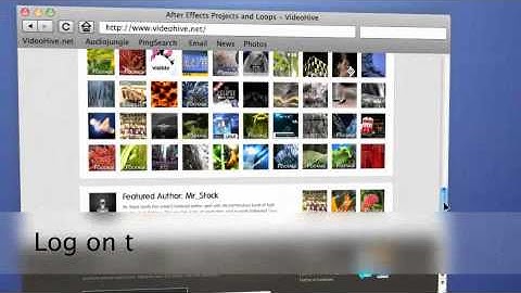 Website Tutorial.flv