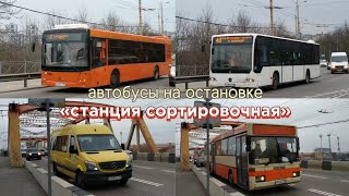 Сборник транспорта на остановке «станция Сортировочная». Вид с моста. Автобусы Калининграда