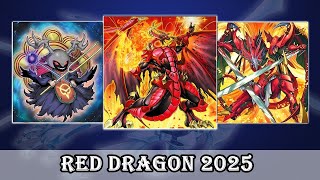 Red Dragon Archfiend Deck 2025   Post Blazing Dominion   New supports