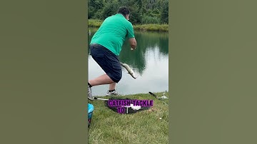 Catfish TACKLE To Catch MORE Fish!! 🎣🐟 #shorts #fishing #catfish