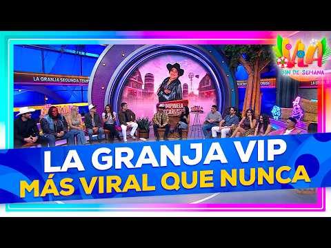 The VIP Farm is more viral than ever! We have the details | VLA Weekend