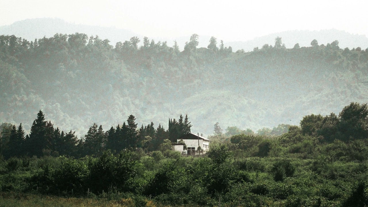 Chopin - Nocture Op. 48 No.1 (slowed, reverb)