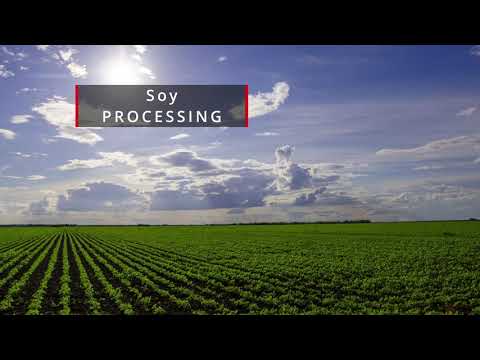 Video: Je snadné pěstovat sóju?