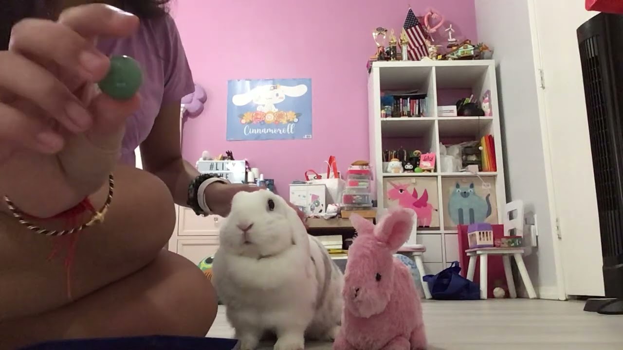 Part 2 of longer vid