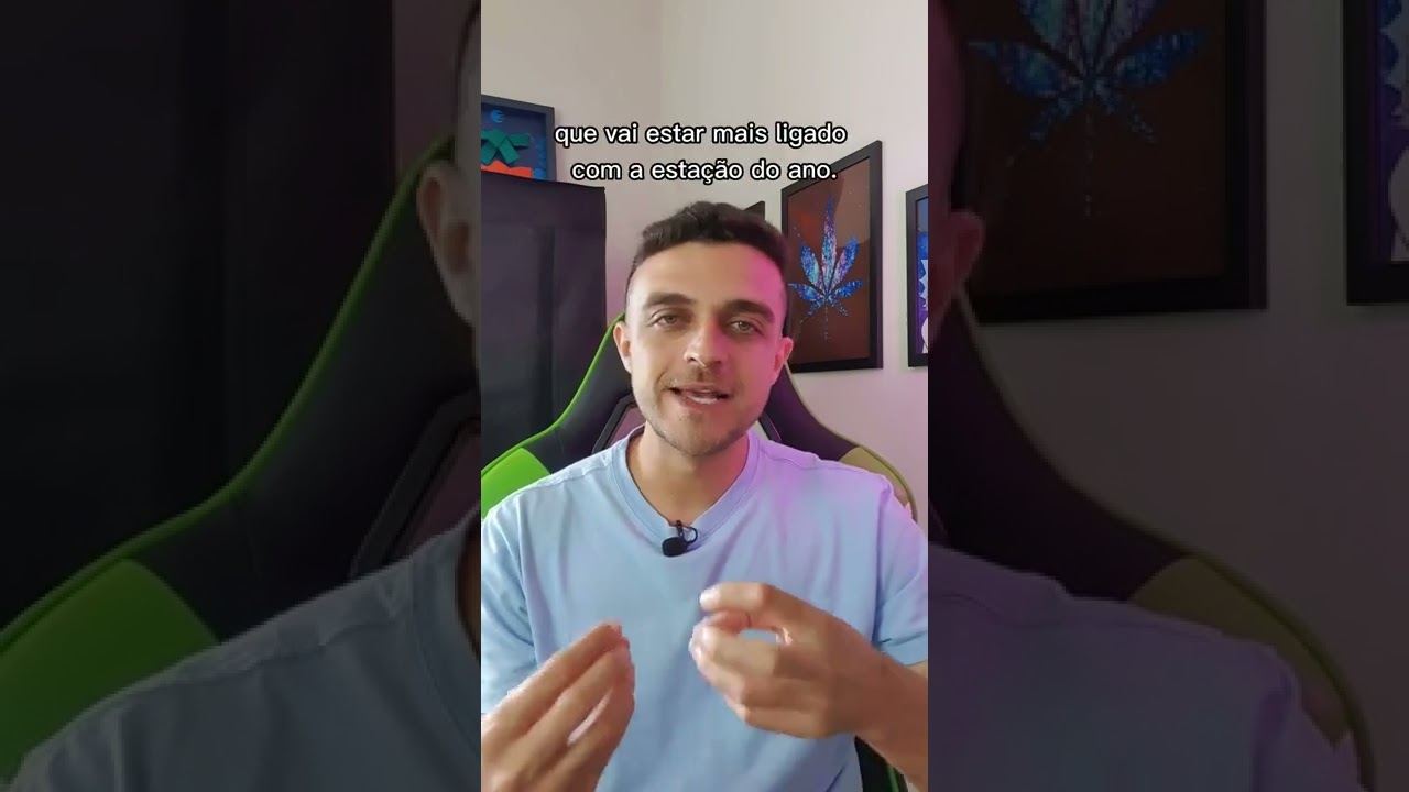 Posso cultivar automáticas no outdoor