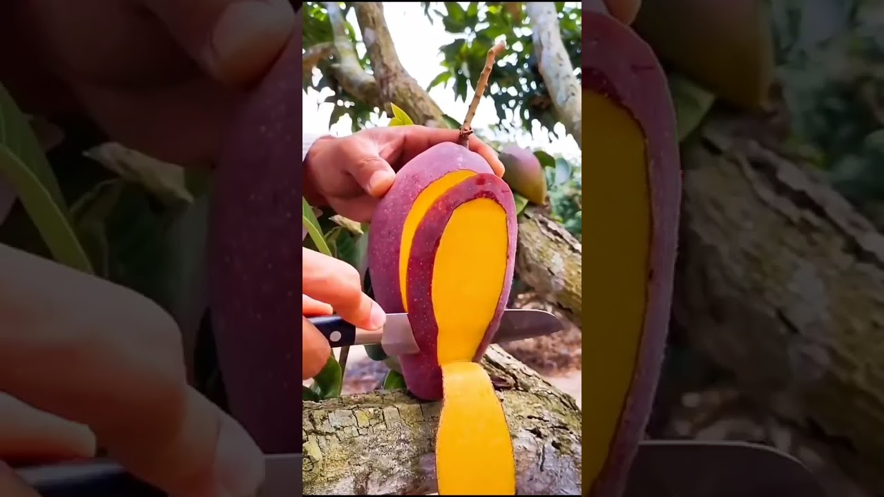 beautiful juicy mango