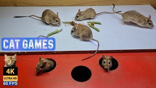 Cat TV Mouse : 10 hour Video for Cats to Watch Mouse in the jerry Mouse Holes - Catching mouse game by Awesome Nature  5,205 views 1 month ago 10 hours