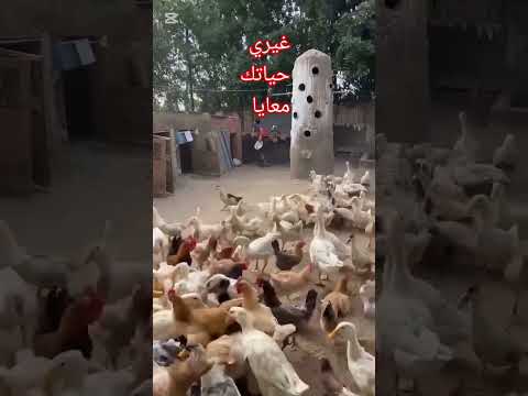 بسم الله ما شاء الله ربنا يزيد ويبارك غيري حياتك معايا