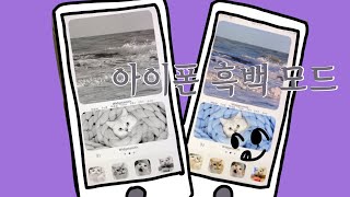 아이폰 흑백 모드 🖤🤍🖤🤍🖤 아이폰 신기한 기능 !!!!! 이제 나도 인싸
