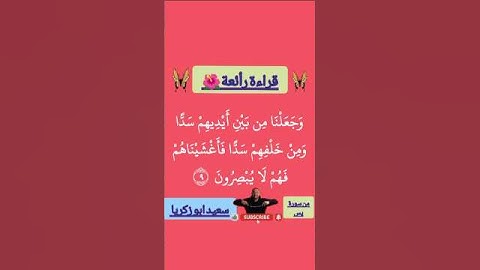 القرآن شفاء لما في الصدور🌺♥️تلاوة قرأنية من سورة يس 🌺#تلاوة_خاشعة #تلاوات #القرآن_الكريم #المصحف