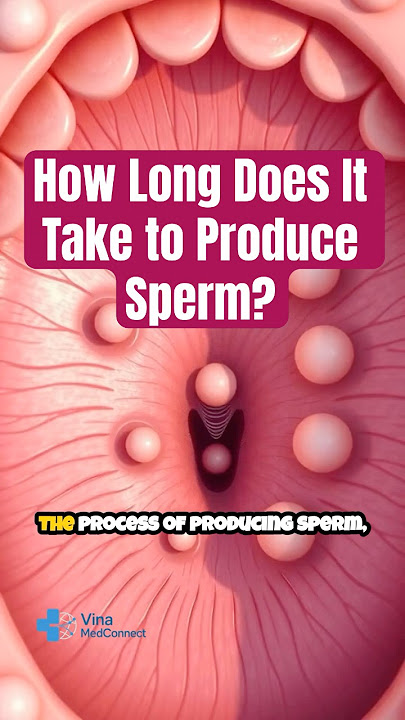 How Long Does It Take to Produce Sperm?
