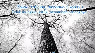 Video story WA bermanfaat | Kehidupan bagai pohon beranting | Story wa terbaru
