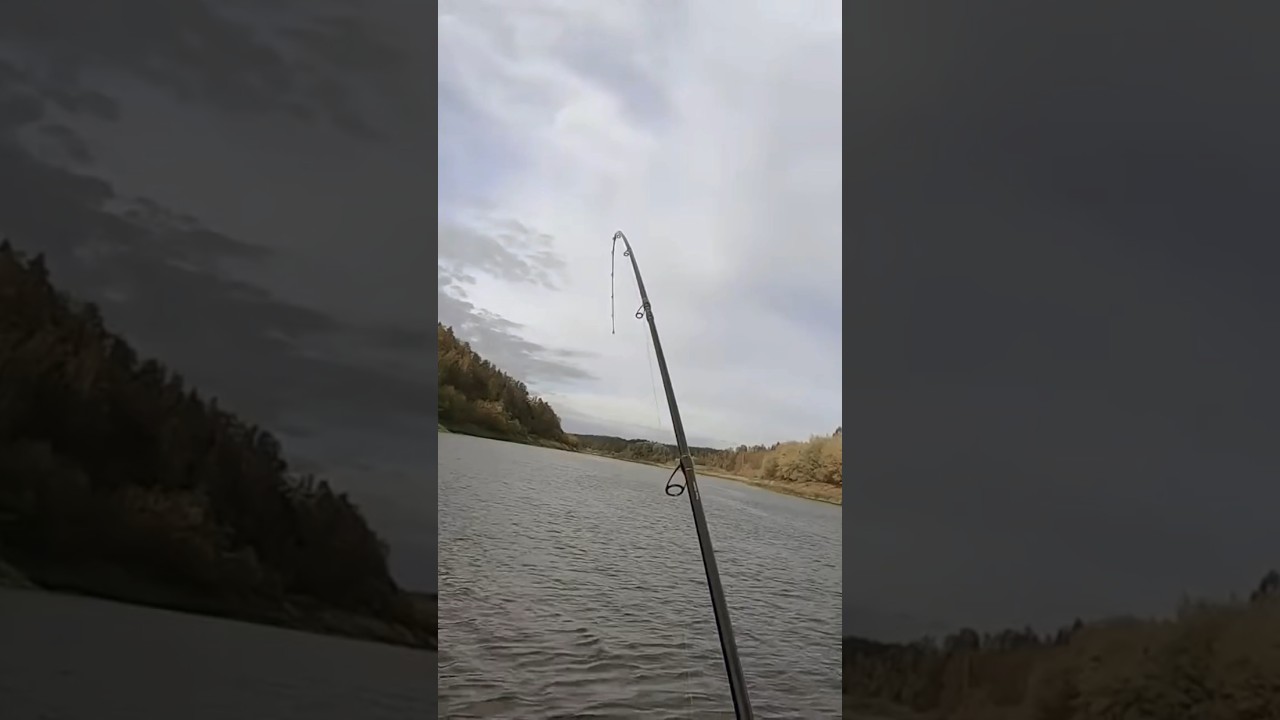 Злые МАМКИ Daugava.