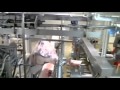 Video Nhà máy xẻ thịt heo với robot tự động