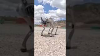 Combat vs. Compassion: The $75,000 Robot Dog Dilemma