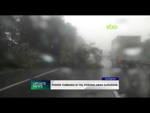 pohon tumbang di medan POHON TUMBANG DI TOL PORONG ARAH SURABAYA