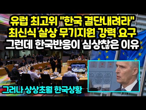 유럽 최고위 &amp;quot;한국 결단내려라&amp;quot; 최신식 무기 강력요청 그런데 한국반응이 <strong>심상찮은</strong> 이유