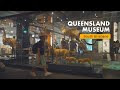 Queensland museum brisbane  place for kids