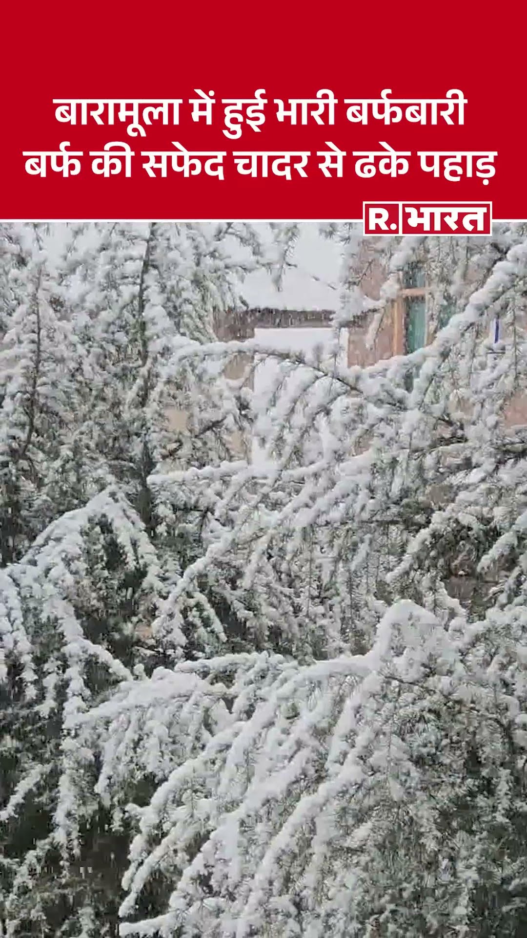 J\u0026K: पहाड़ों पर जोरदारी बर्फबारी, जीरो डिग्री के टॉर्चर में जम गई डल झील