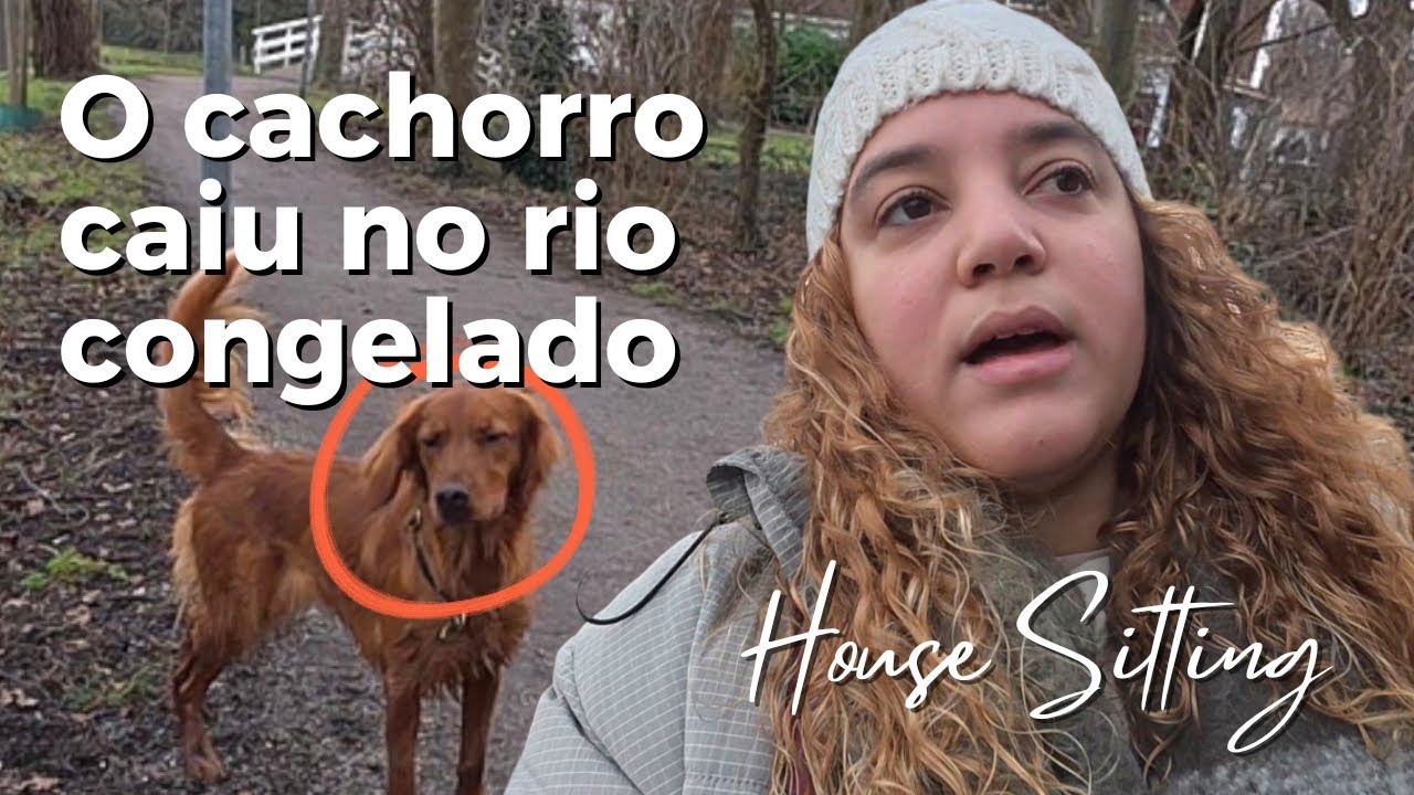 ROTINA DE HOUSE SITTING NA HOLANDA