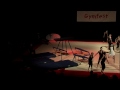 Gymfest 2015 Spartans Display Team