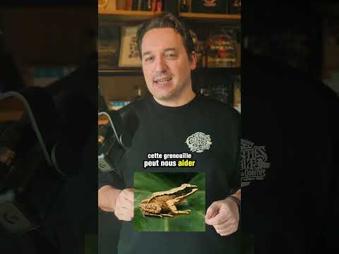 Soleil hurlant #science #astronomie #biologie #evolution #ricketmorty #grenouille