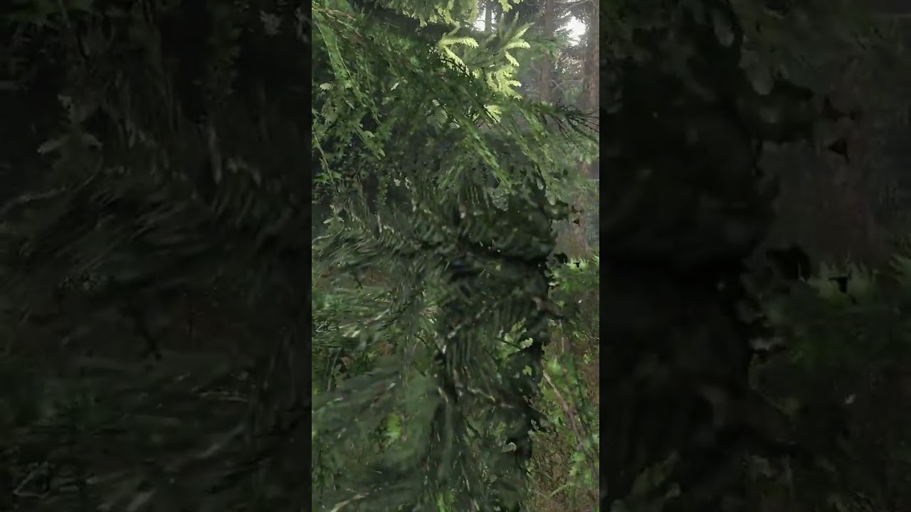 The bushes are alive!! - Dayz adlı videoyu YouTube'da izle The bushes are alive!! - Dayz adlı videoyu YouTube'da izle