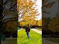 Fall season ❤️❤️