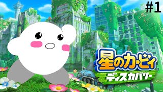 星のカービィ ディスカバリーやるぞ！#1