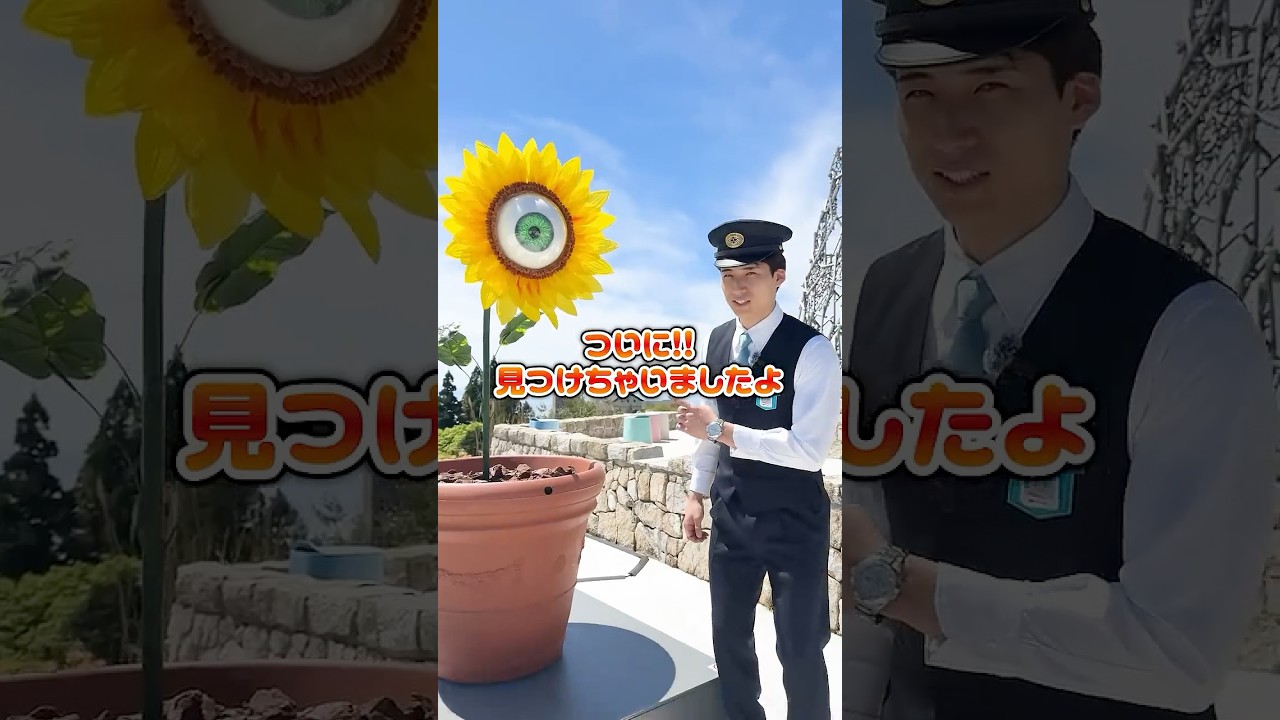 教えて!阪神電車の三坂くん「#56 六甲山に宇宙植物!? きみょい植物展開催中!」#short #阪神電車 #たいせつがぎゅっと #鉄道 #電車 #阪神 #六甲山 #六甲ガーデンテラス